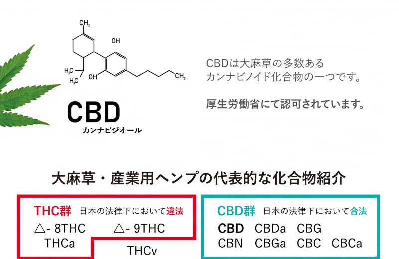 CBDカンナビジオール